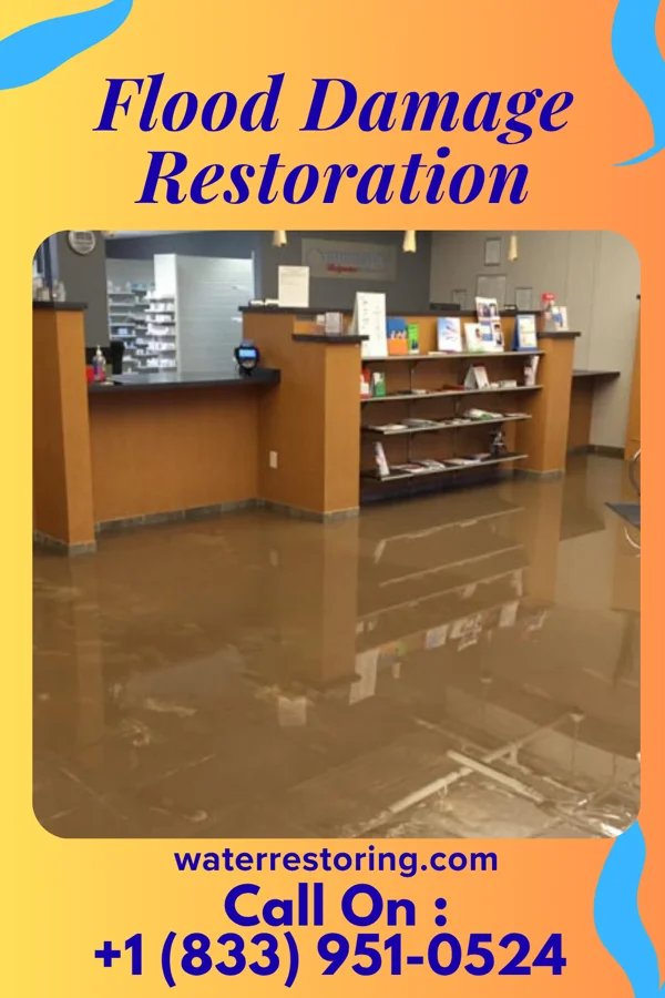 Flood Damage Restoration in Mathiston, MS