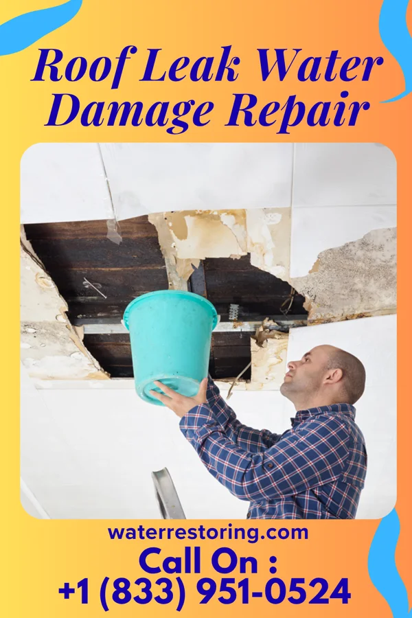 Roof Leak Water Damage Repair in Mathiston, MS